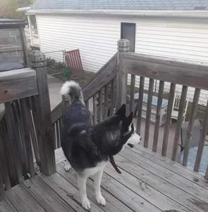 Meet your Posher, Desiree